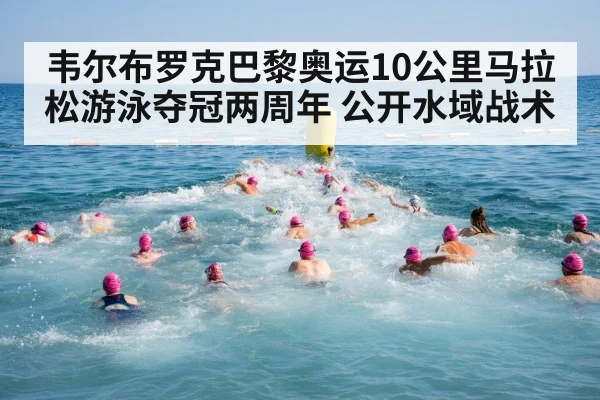 韦尔布罗克巴黎奥运10公里马拉松游泳夺冠两周年 公开水域战术