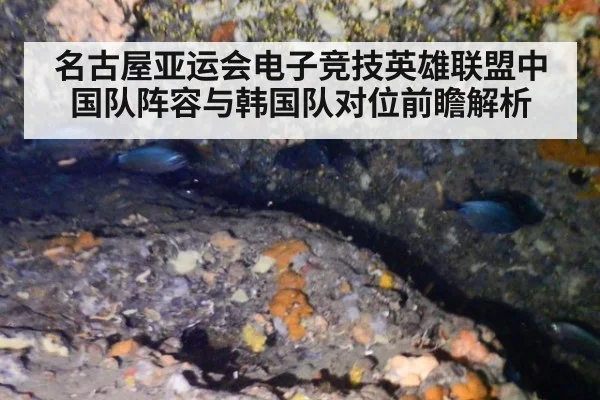 名古屋亚运会电子竞技英雄联盟中国队阵容与韩国队对位前瞻解析
