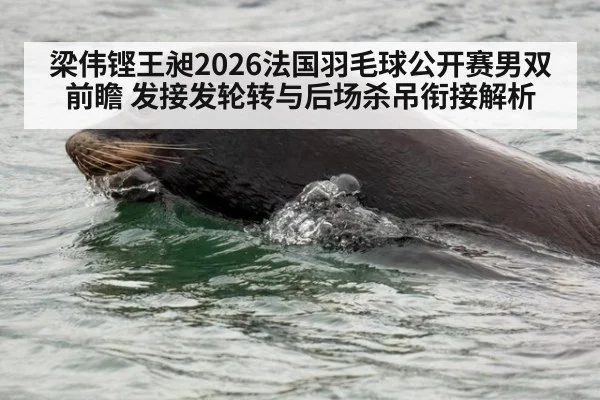 梁伟铿王昶2026法国羽毛球公开赛男双前瞻 发接发轮转与后场杀吊衔接解析